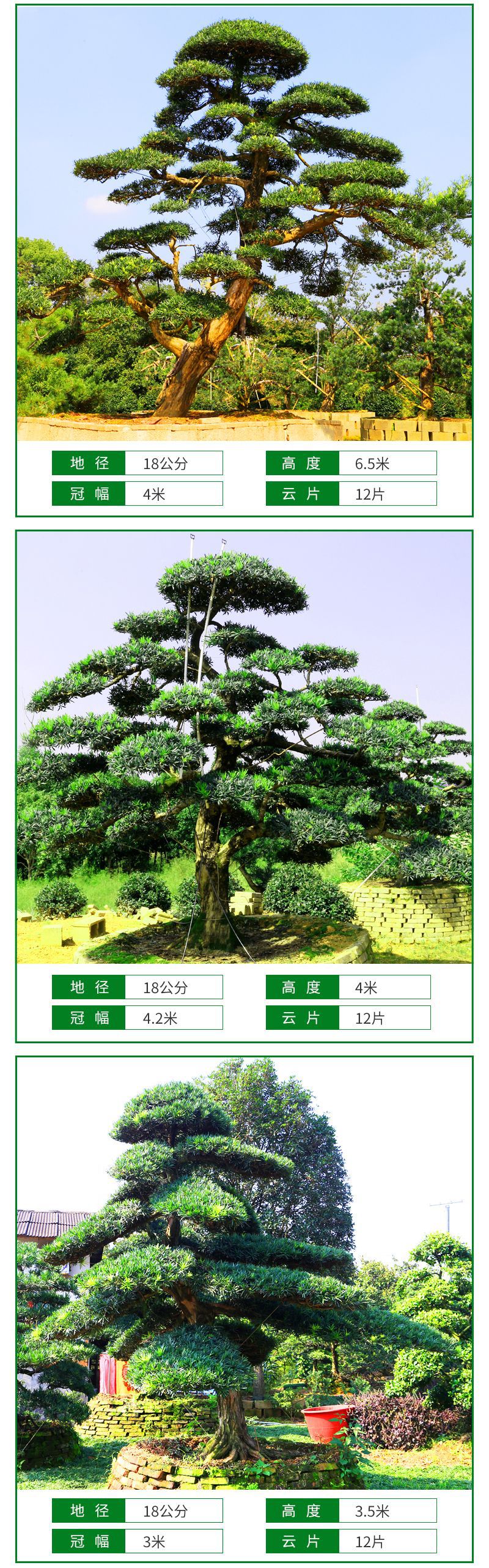 �޺���-����_08