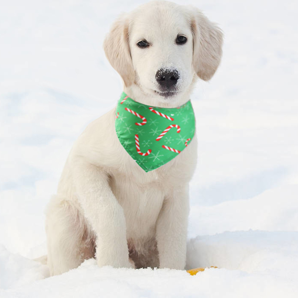 17g Weight Costume Props Event & Party Supplies Pet Clothing Type Of Pet Supplies 1 Piece Quantity Holiday Occasion Polyester Material Christmas Festival Snowflake, Deer Pattern All Seasons Season Casual Style Casual Polyester Christmas Snowflake Deer Pet Clothing 1 Piece 19