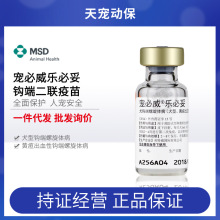 英特威宠必威乐必妥犬型黄疸出血性钩端螺旋体宠物狗狗疫苗默沙东