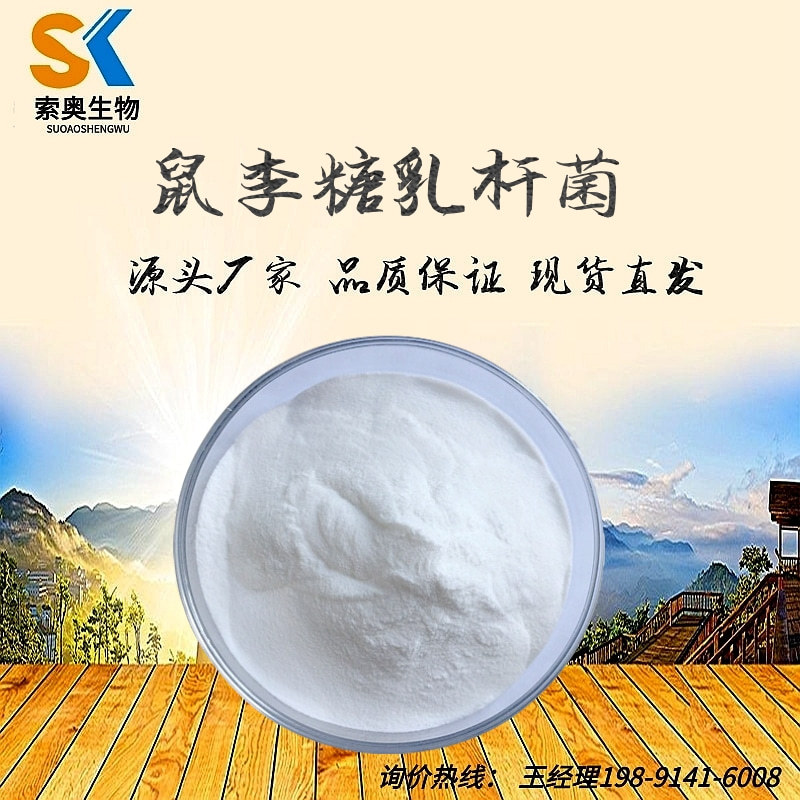鼠李糖乳杆菌 乳酸菌 益生菌 厂家直销 现货包邮