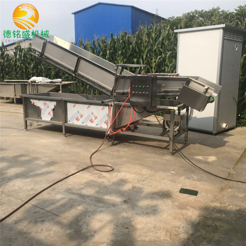 出售大型商用青菜气泡清洗机 苦菊清洗生产线 生菜喷淋清洗机