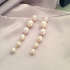 Universal earrings from pearl, fashionable accessory, European style, simple and elegant design