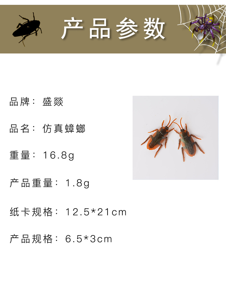 昆虫模板_02.jpg