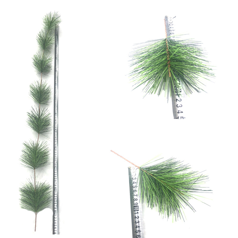 中松针条1.2米2.jpg