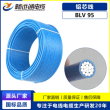 ���Sֱ�I늾���| BLV95ƽ���������Xо�� 95ƽ�������X�ܾ�