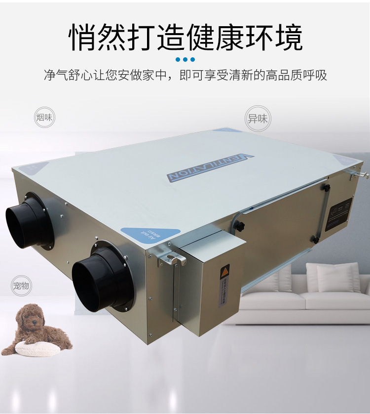 ESF系列新風凈化機_05.jpg