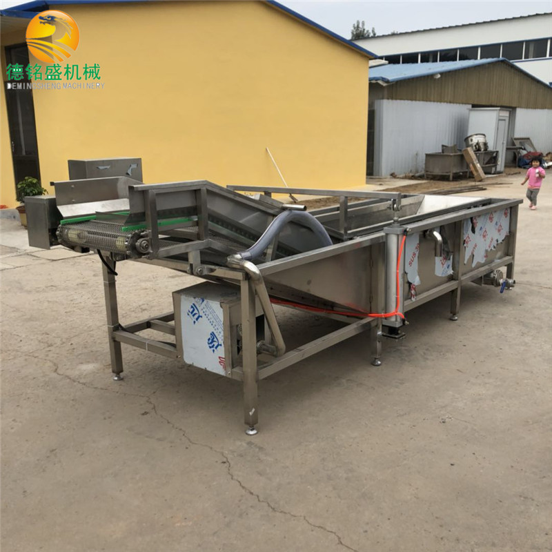 毛毛鱼仔小包装袋气泡清洗机 带鱼段清洗加工生产线 虾清洗机