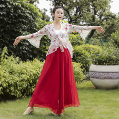 Han and Tang classical dance training attire for women, featuring flowing bell sleeves, printed body rhythm chiffon robes, wide-leg pants, and performance clothing.