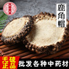 鹿角帽冷背中药材,批发鹿角盘大货 诚招代理一件代发量大从优