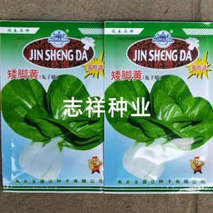 苗菜種子圖片- 海量高清苗菜種子圖片大全- 阿里巴巴