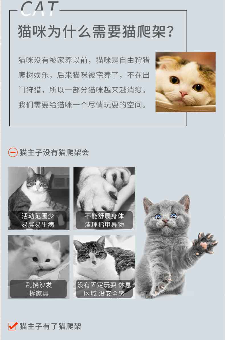 剑麻详情_05