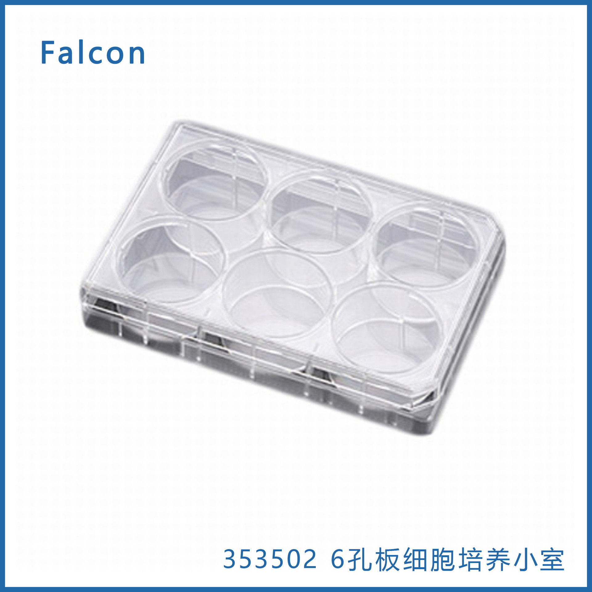 Falcon353502 6孔板细胞培养小室TC处理聚苯乙烯套板，带盖无jun-阿里巴巴