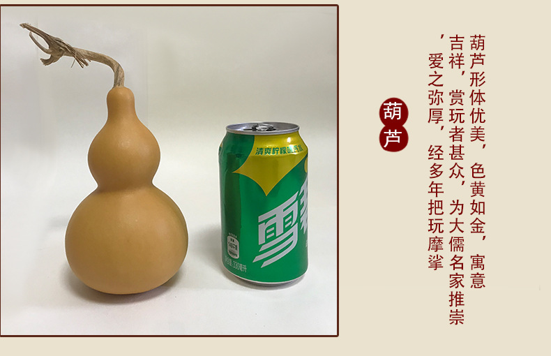 普通葫芦_10.jpg