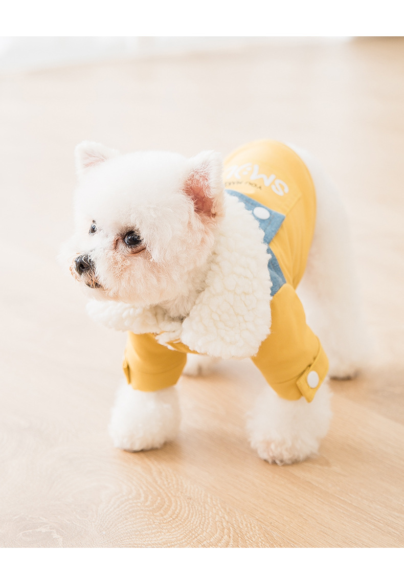 Dog outfit 7