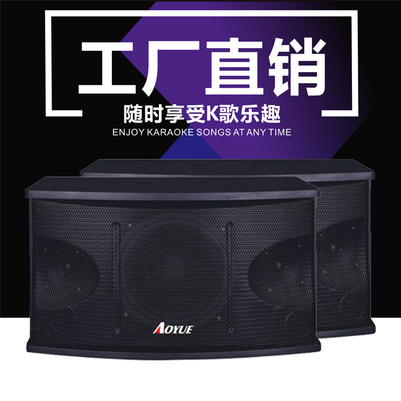 厂家直销 SK-10 10寸家用KTV卡包音箱 卡拉OK音箱会议酒吧音响