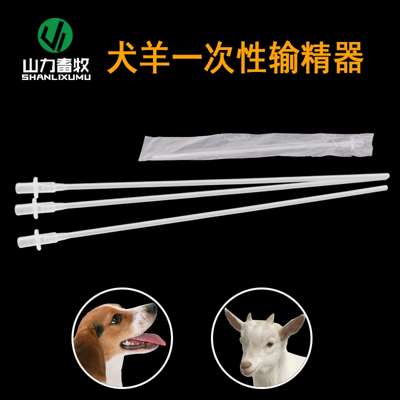 Семявыносящий проток одноразовый для собак, семявыносящий проток для собак, овец, семявыносящий проток одноразовый, домашних животных
