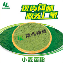 小麦苗粉 大麦若叶青汁粉 水溶性 小麦苗汁粉 1KG起订 量大优惠