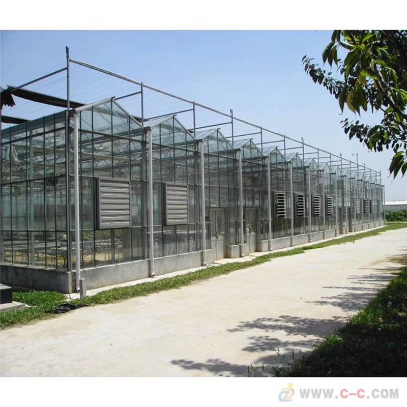 【温室大棚】文洛型连栋智能玻璃温室 花卉农业养殖温室大棚工程