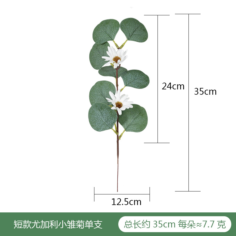 短杆尤加利小雏菊 单枝SKU
