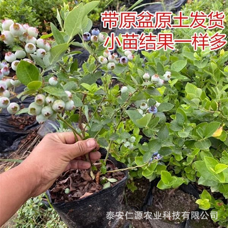 435cf522712183b8e7f54b3b441f86