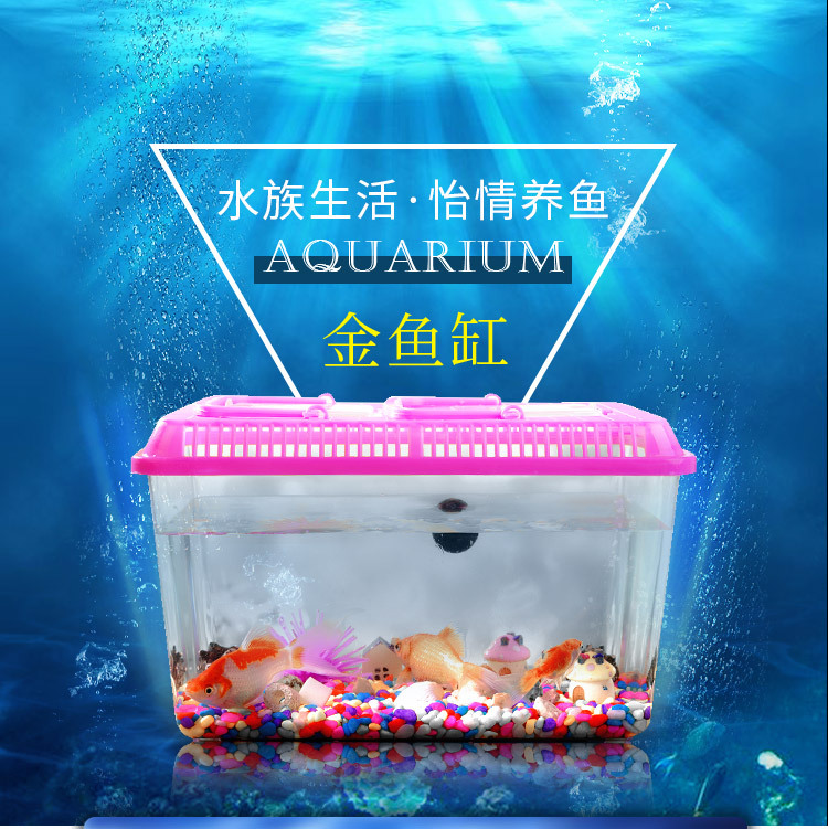 金鱼缸_01.jpg
