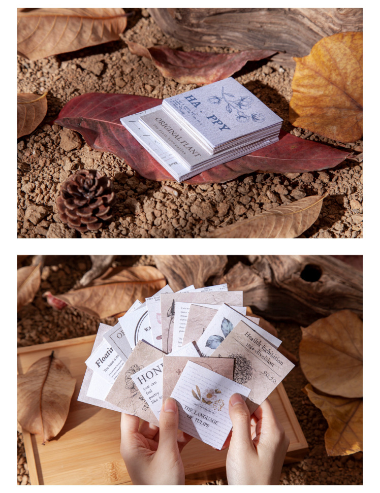 ╗¿╨≥╬∩╙∩╧&Om