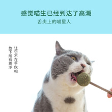 木天蓼薄荷球猫咪棒棒糖自嗨猫磨牙棒啃咬逗猫神器猫咪零食