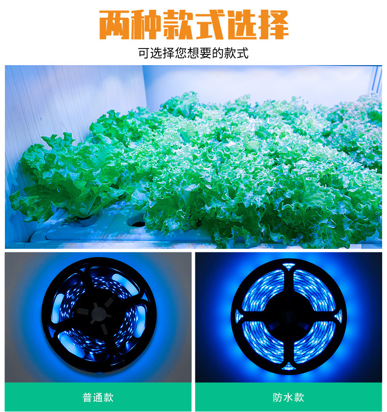 USB-冰蓝-植物灯带--_02.jpg
