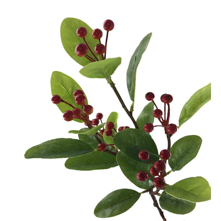 冬青果四叉枝15叶8串48果62CM3.jpg