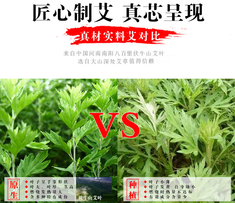 35:1 Golden Moxa Stick Ai Tiao 5-Year Aged Mugwort Moxibustion Roll 1.8x20cm 16g White Cotton Paper quality and texture