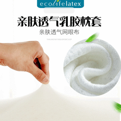 Ecolifelatex泰国乳胶枕枕套三面网眼布透气单人枕用枕头套柔软