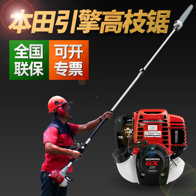進口高枝鋸汽油鋸伸縮加長杆園藝果樹高空修枝剪三菱高枝油鋸