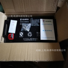 志成冠军NP100-12 12V100AH铅酸免维护阀控式UPS/EPS电源蓄电池