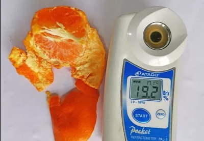 21229027249_944498898