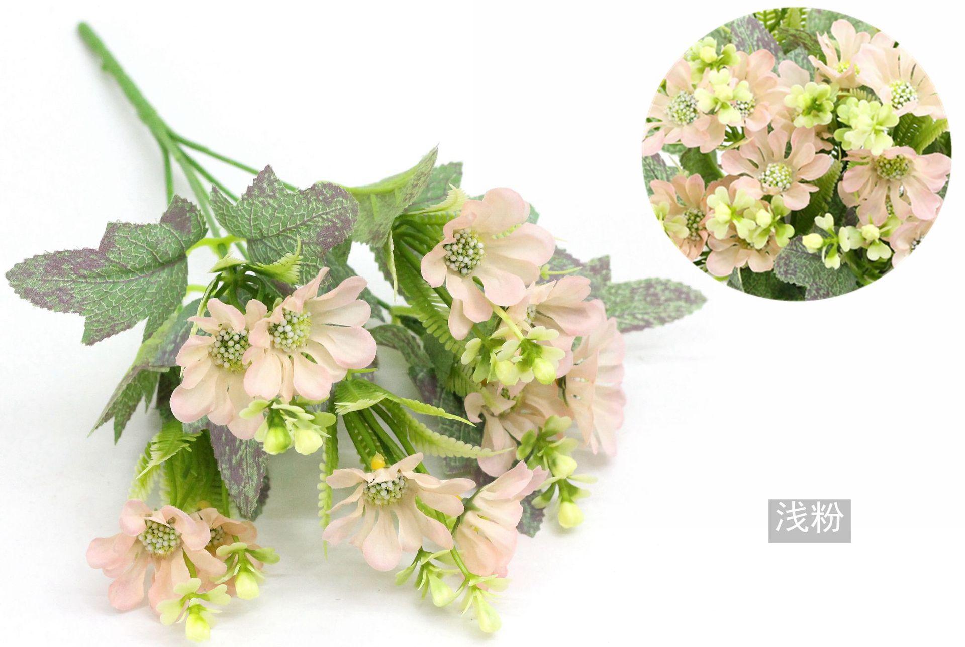 IMG_7629_副本_副本