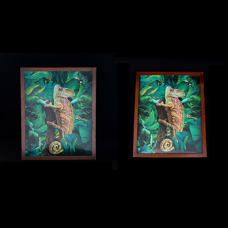 专业设计生产3D蜥蜴立体加变动海报带边框45*60cm
