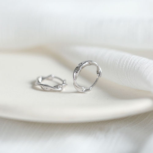 S925 silver earrings  new trendy earrings for women with cold style niche circle earrings and versatile temperament
