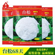 菜花种子 菜花种子批发 促销价格 产地货源 阿里巴巴