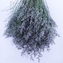 SlҾb˲ݸɻzӰ 羳ɻ؛