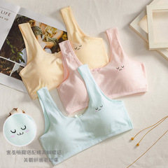 Dreamsoft Girls Developmental Underwear, Wide Strap Cute and Fresh Teenage Backless Top, Model 8862