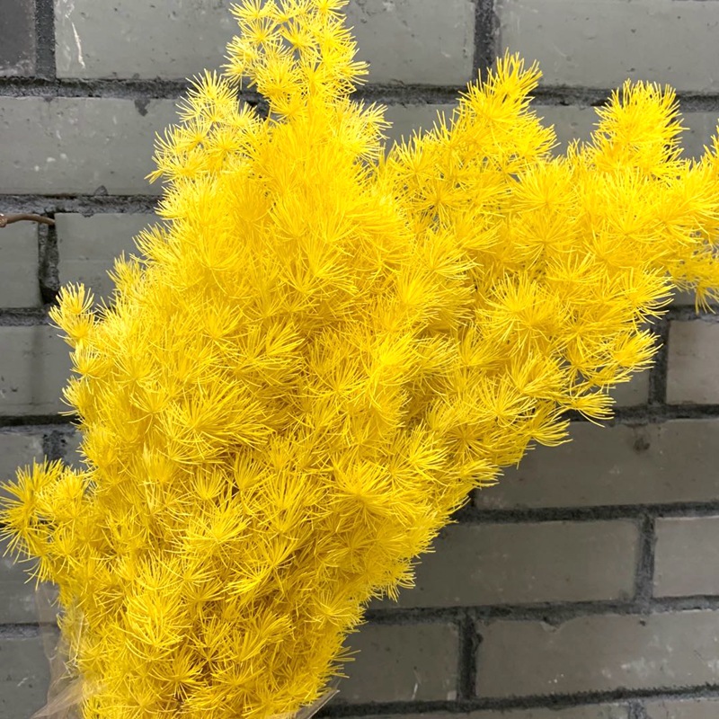 微信图片_20200607105731