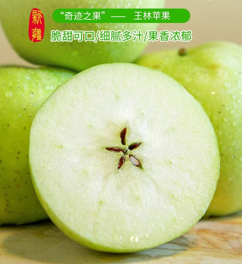 新疆阿克蘇應季王林雀斑蘋果小果 大果 果裝新鮮順豐直發