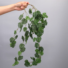 ����ֲ�������~�ٗl ins����Gֲ���ڒ��b��������������~�ٻ�