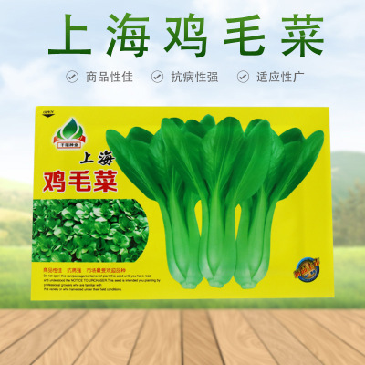 Shanghai Feathers vegetables Vegetables Vegetable seeds High yield Disease adaptability Commodity Vegetables Seeds