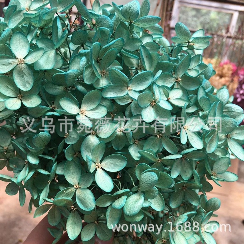 微信图片_20201025113625