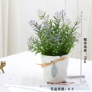 ins风 小米果叶子花盆白色陶瓷盆装仿真花小盆栽简约北欧风