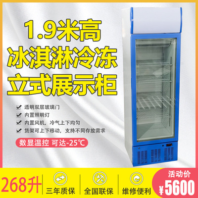 Jie Sheng 268L vertical Freezing Display cabinet Cold storage large commercial Haagen-Dazs ice cream Ice cream Glass cabinet