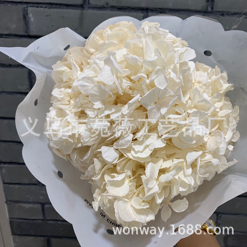 微信图片_20200429182849