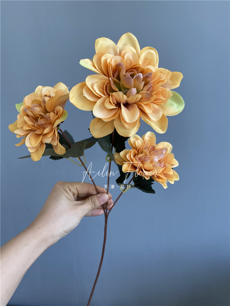 3 autumn colorful flowers