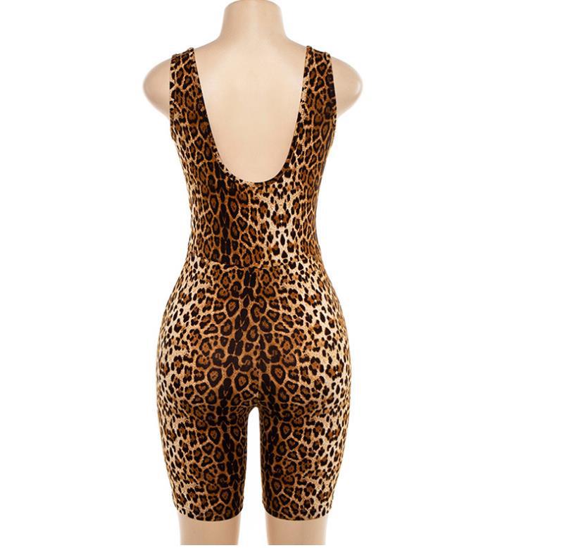 Stylish Women's Outfit